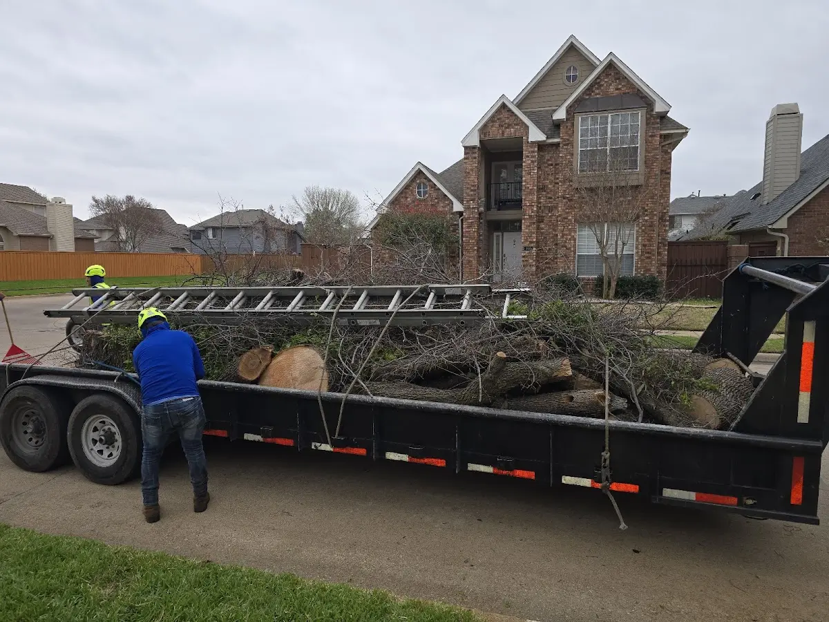 Expert Tree Removal with proper safety equipment in Grovertown